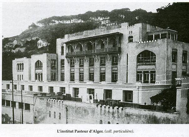 Alger institut pasteur