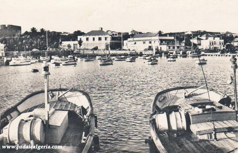 Alger la perouse le port