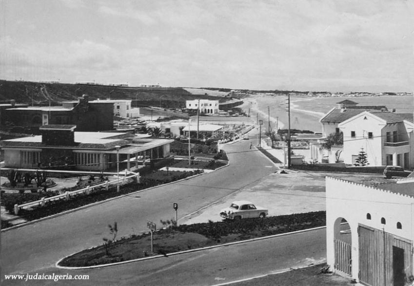 Alger staoueli club des pins