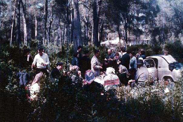 Pic nic dans la foret de sidi ferruch