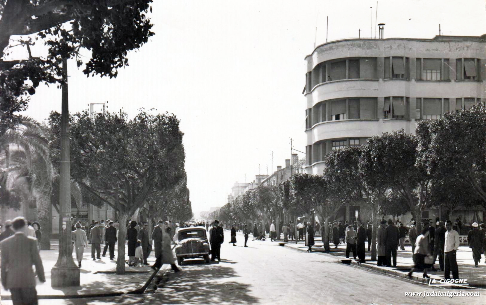 Ain temouchent boulevard national