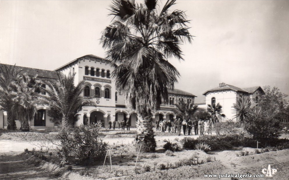 Ain temouchent ecole d agriculture