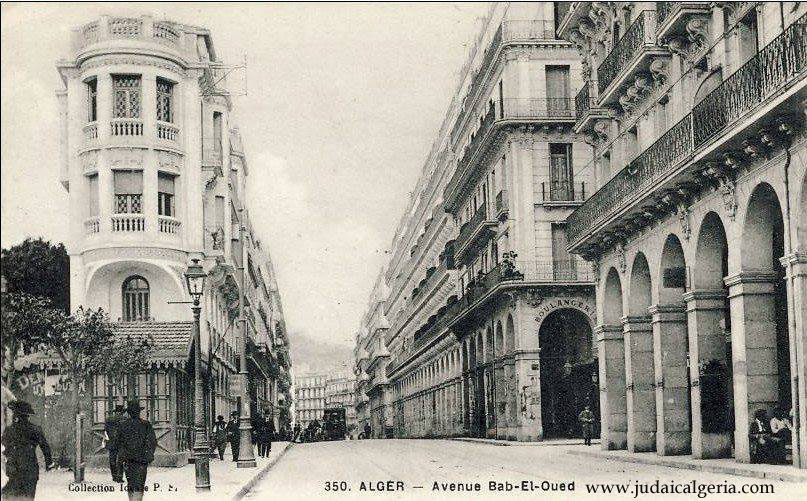 Alger avenue de la marne