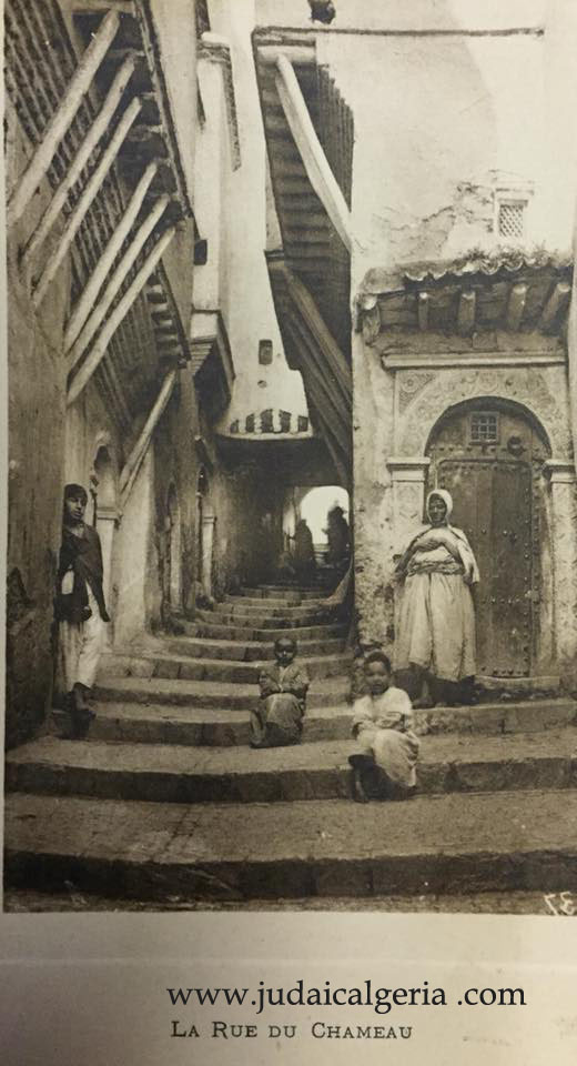 Alger la rue du chameau