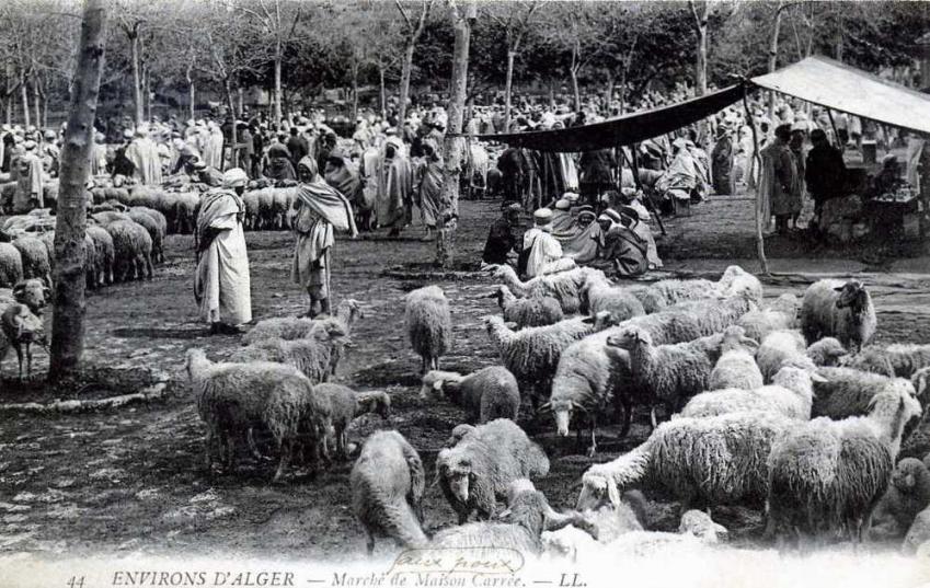 Alger maison carree marche aux moutons