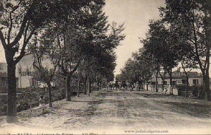 Batna l avenue de biskra