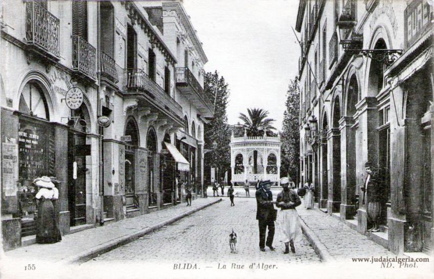 Blida la rue d alger