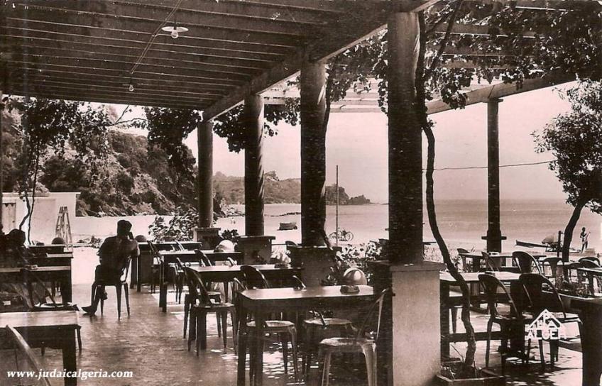 Bone la plage toche terrasse de la grande bleue 1