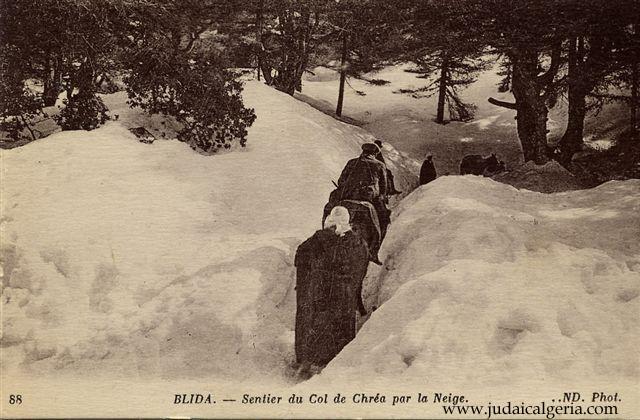 Chrea sentier du col de chrea 1