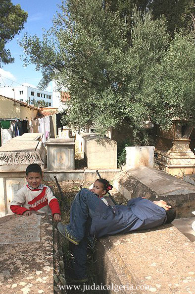 Cimetiere juif de saida les enfants du gardien