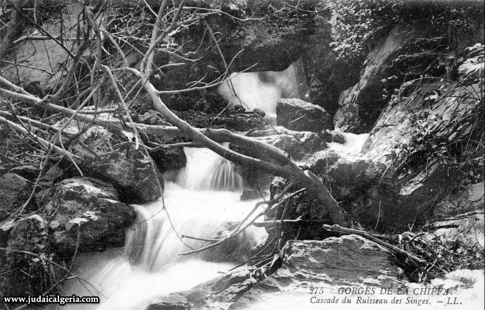 Gorges de la chiffa cascade du ruisseau des singes