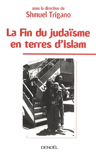 La fin du judaisme en terre d islam couverture