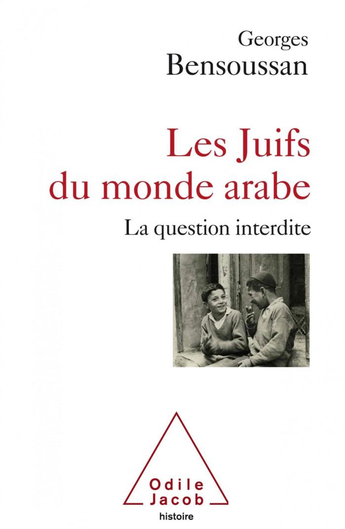 Les juifs du monde arabe couverture