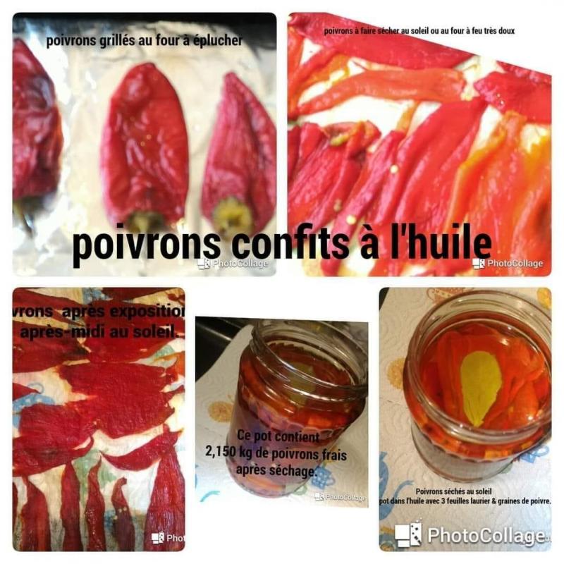 Poivrons confils a l huile d olive