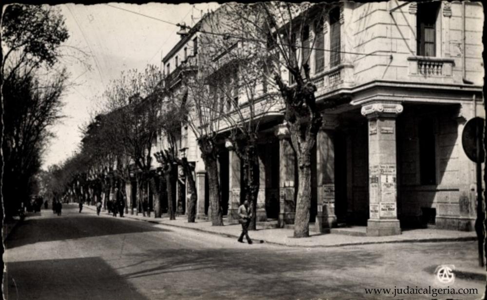 Setif avenue clemenceau