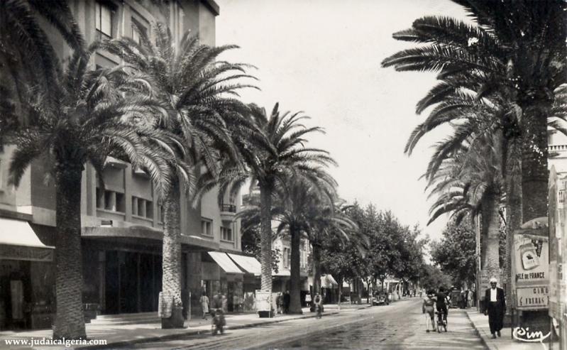 Sidi bel abbes boulevard de la republique