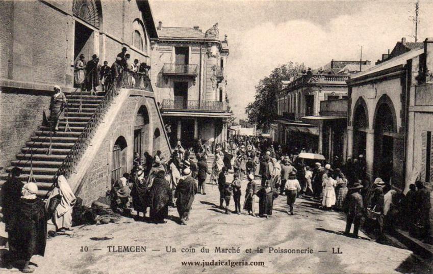 Tlemcen le marche et la poissonnerie