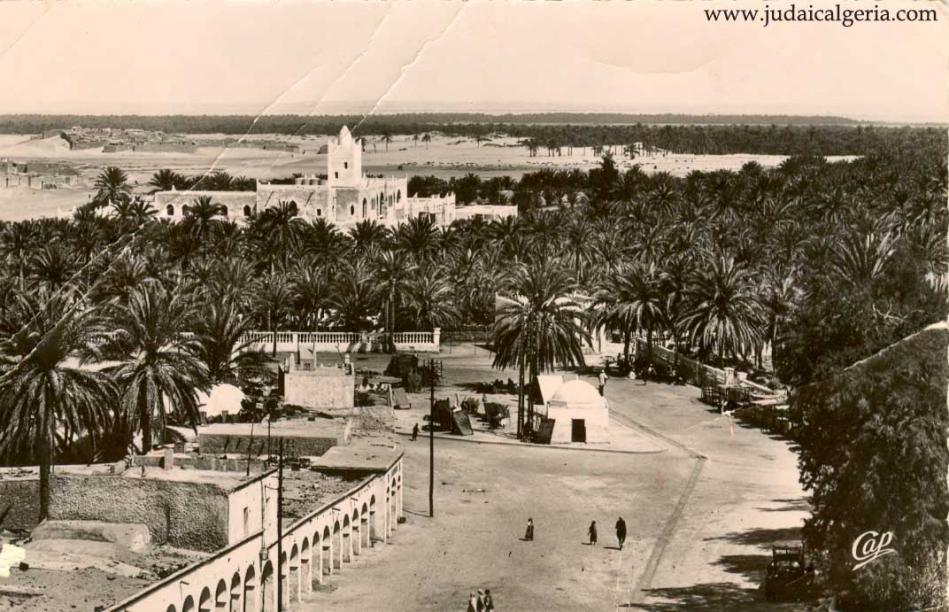 Toggourt vue de la palmeraie